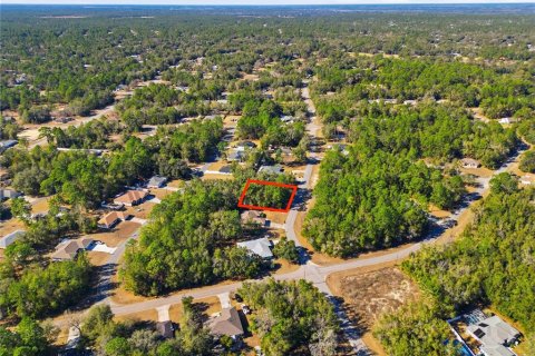 Land in Citrus Springs, Florida № 2163866 - photo 6