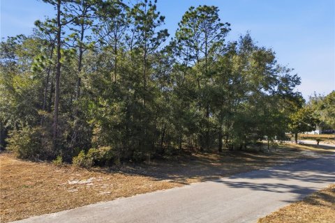 Land in Citrus Springs, Florida № 2163866 - photo 10