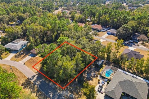 Land in Citrus Springs, Florida № 2163866