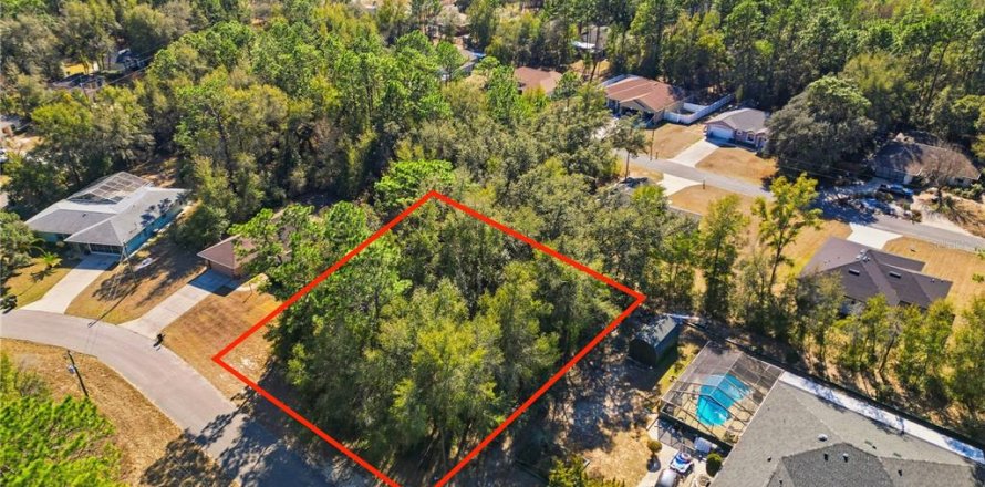 Land in Citrus Springs, Florida № 2163866