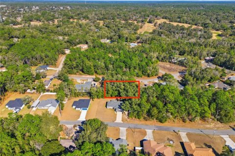 Land in Citrus Springs, Florida № 2163866 - photo 8