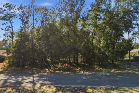 Land in Citrus Springs, Florida № 2163866 - photo 2