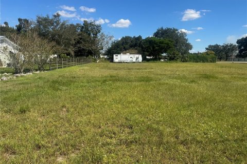 Terreno en venta en Arcadia, Florida № 2161667 - foto 3