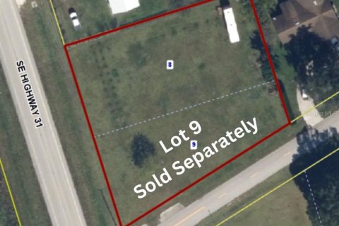 Land in Arcadia, Florida № 2161667 - photo 2