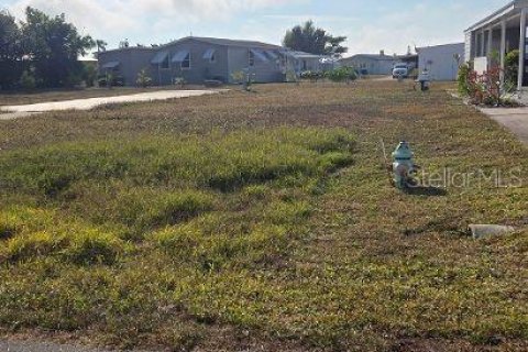 Land in Englewood, Florida № 2211002 - photo 2