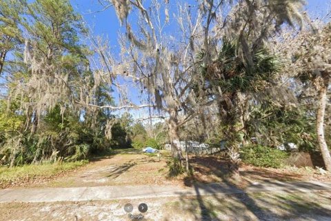 Land in East Palatka, Florida № 1347126 - photo 5
