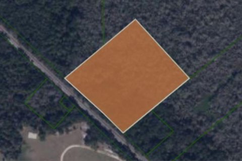 Land in East Palatka, Florida № 1347126 - photo 2