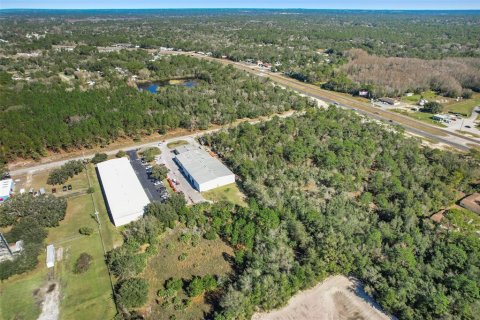 Immobilier commercial à louer à Homosassa, Floride: 1714.05 m2 № 2406789 - photo 30