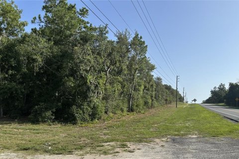 Terrain à vendre à Floral City, Floride № 2211553 - photo 3