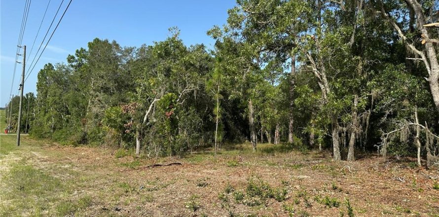 Terrain à Floral City, Floride № 2211553