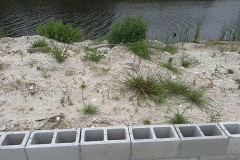 Land in Port Charlotte, Florida № 2229304 - photo 2
