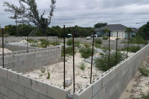 Land in Port Charlotte, Florida № 2229304 - photo 4