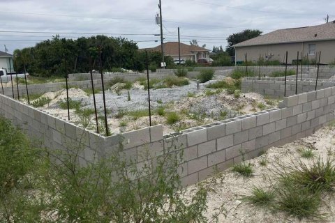 Land in Port Charlotte, Florida № 2229304 - photo 3