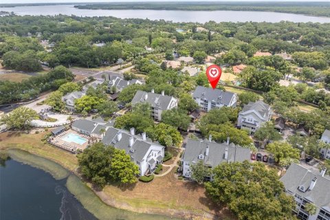 Condo in Palm Harbor, Florida, 2 bedrooms № 2217551 - photo 16