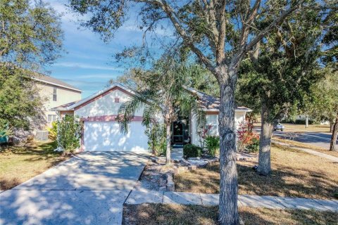 House in Apollo Beach, Florida 4 bedrooms, 189.33 sq.m. № 2118619