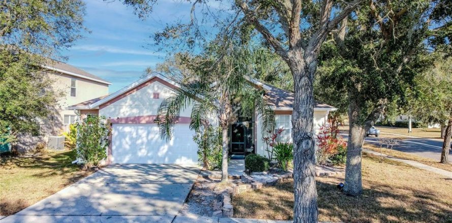 House in Apollo Beach, Florida 4 bedrooms, 189.33 sq.m. № 2118619