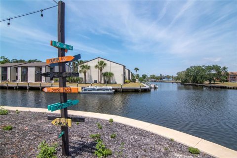 Touwnhouse à vendre à Tarpon Springs, Floride: 2 chambres, 89.65 m2 № 1654454 - photo 25