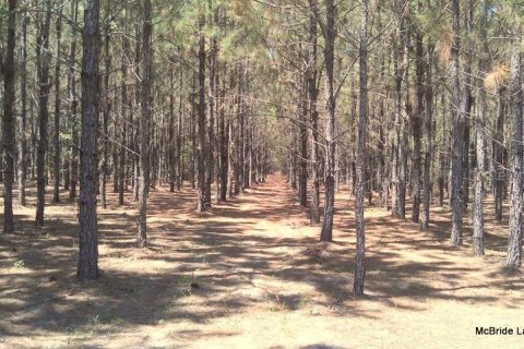 Terreno en venta en Dunnellon, Florida № 2129568 - foto 11
