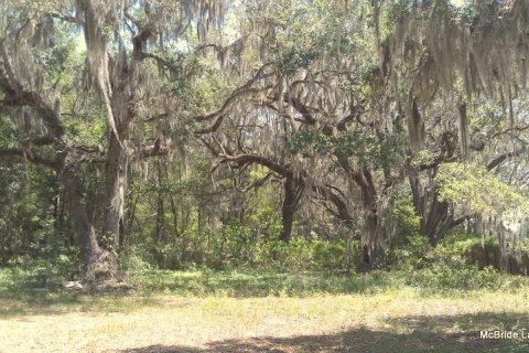 Terreno en venta en Dunnellon, Florida № 2129568 - foto 23