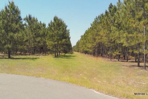 Terreno en venta en Dunnellon, Florida № 2129568 - foto 13