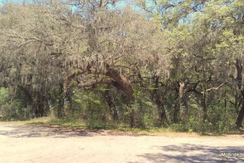 Terreno en venta en Dunnellon, Florida № 2129568 - foto 26