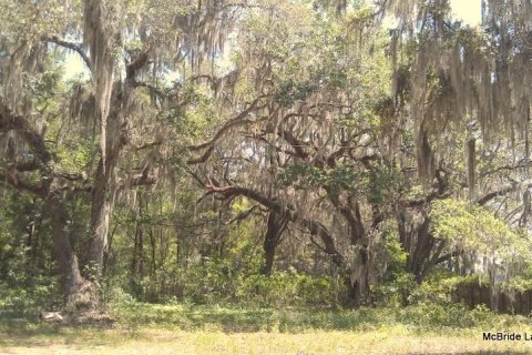 Terreno en venta en Dunnellon, Florida № 2129568 - foto 25
