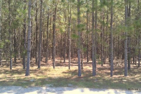 Terreno en venta en Dunnellon, Florida № 2129568 - foto 17