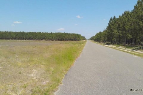 Terreno en venta en Dunnellon, Florida № 2129568 - foto 6