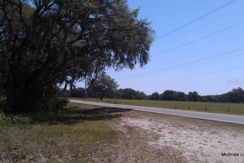 Terreno en venta en Dunnellon, Florida № 2129568 - foto 21