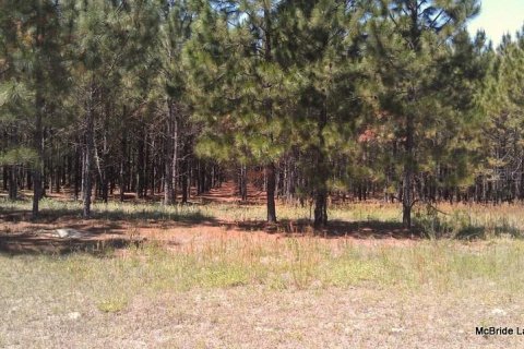 Terreno en venta en Dunnellon, Florida № 2129568 - foto 7