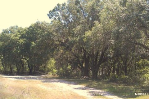 Terreno en venta en Dunnellon, Florida № 2129568 - foto 18