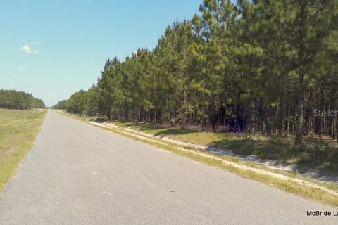 Terreno en venta en Dunnellon, Florida № 2129568 - foto 3