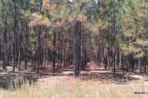 Terreno en venta en Dunnellon, Florida № 2129568 - foto 9