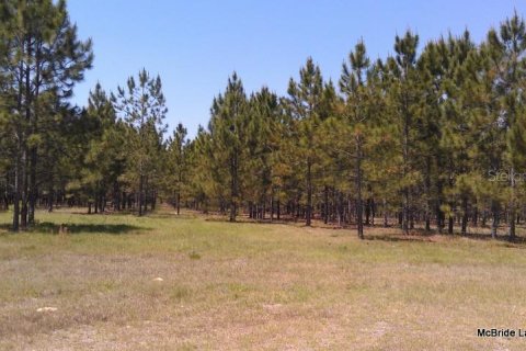 Terreno en venta en Dunnellon, Florida № 2129568 - foto 12