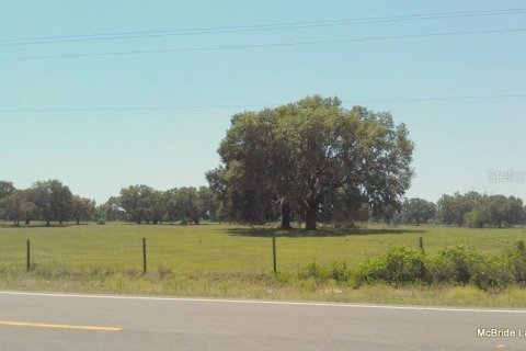 Terreno en venta en Dunnellon, Florida № 2129568 - foto 29