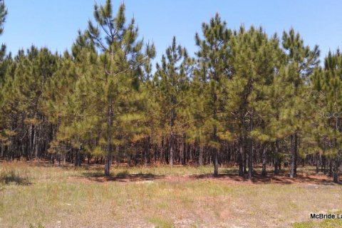Terreno en venta en Dunnellon, Florida № 2129568 - foto 8