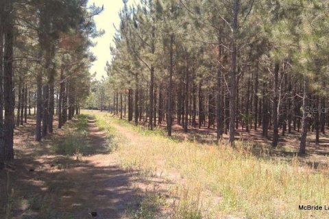 Terreno en venta en Dunnellon, Florida № 2129568 - foto 10