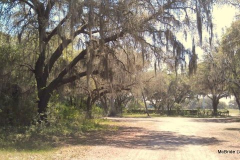 Terreno en venta en Dunnellon, Florida № 2129568 - foto 19