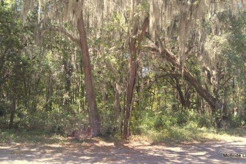 Terreno en venta en Dunnellon, Florida № 2129568 - foto 27