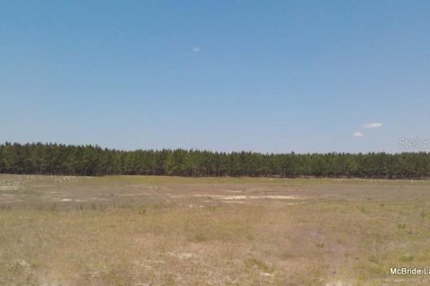 Terreno en venta en Dunnellon, Florida № 2129568 - foto 14