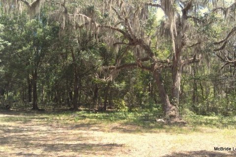 Terreno en venta en Dunnellon, Florida № 2129568 - foto 24