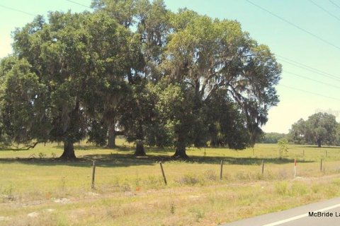 Terreno en venta en Dunnellon, Florida № 2129568 - foto 4