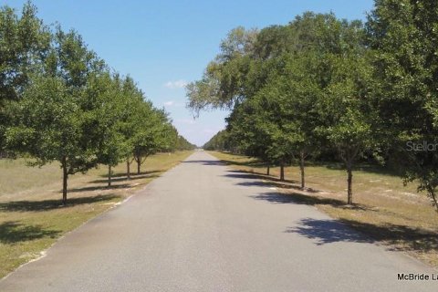 Terreno en venta en Dunnellon, Florida № 2129568 - foto 2