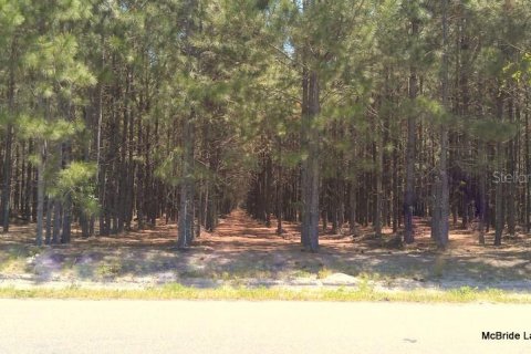Terreno en venta en Dunnellon, Florida № 2129568 - foto 16