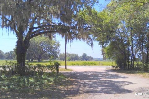 Terreno en venta en Dunnellon, Florida № 2129568 - foto 20