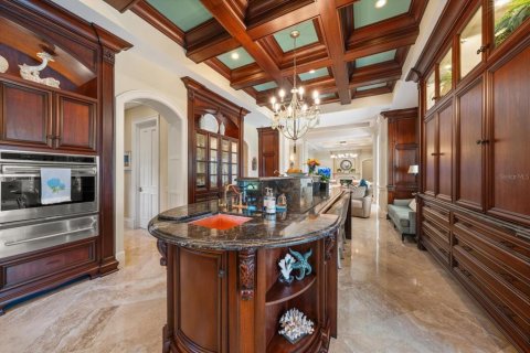 House in Palm Harbor, Florida 5 bedrooms, 638.8 sq.m. № 2430458 - photo 21
