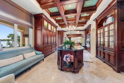 House in Palm Harbor, Florida 5 bedrooms, 638.8 sq.m. № 2430458 - photo 24