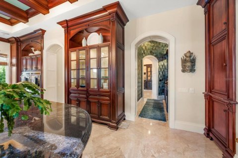 House in Palm Harbor, Florida 5 bedrooms, 638.8 sq.m. № 2430458 - photo 27