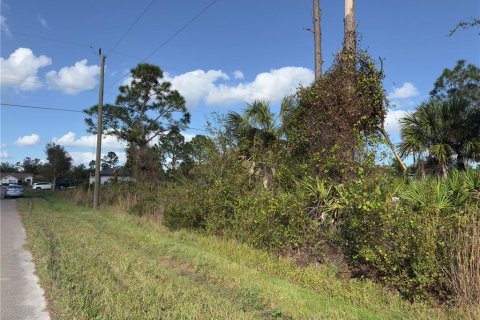 Land in Port Charlotte, Florida № 2161074 - photo 5