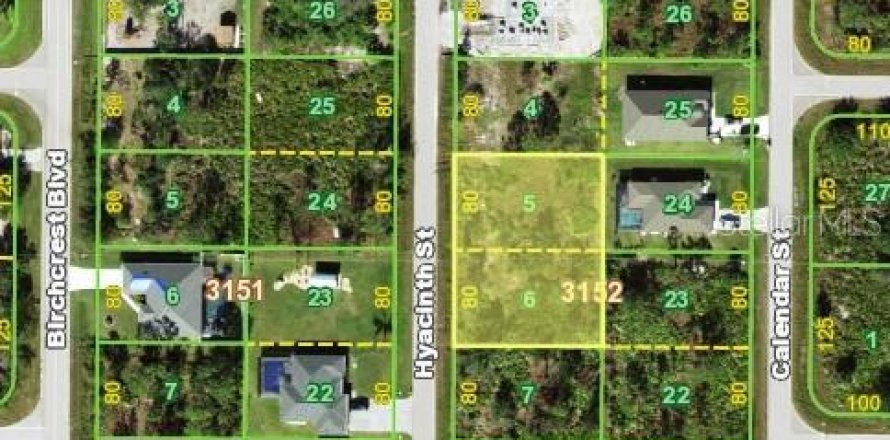 Land in Port Charlotte, Florida № 2161074